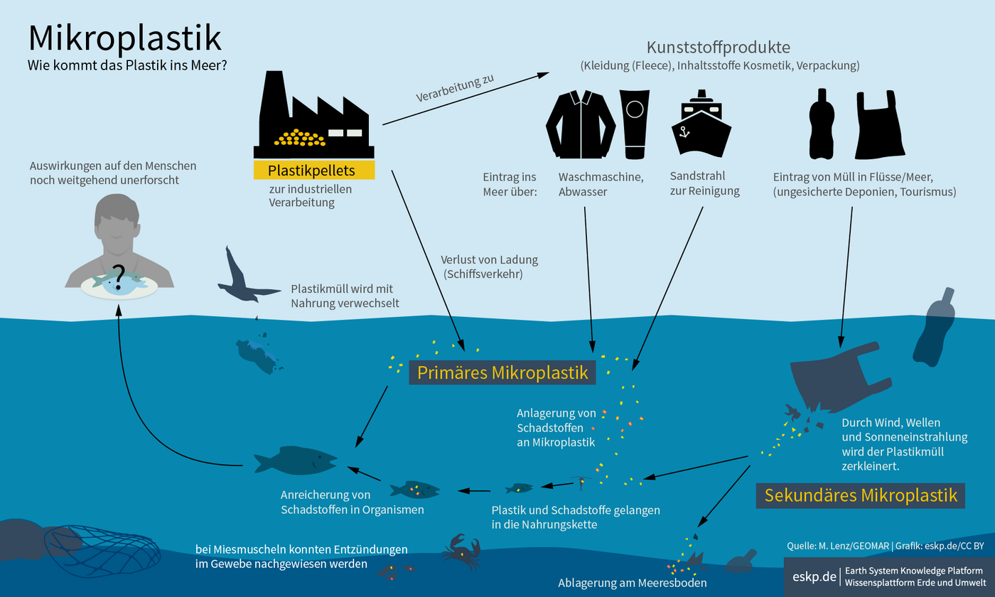 Infografiken Zum Thema Schadstoffe Eskp 6880