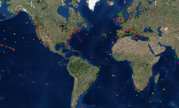 Launch of new Litterbase: distribution and biological effects of marine litter