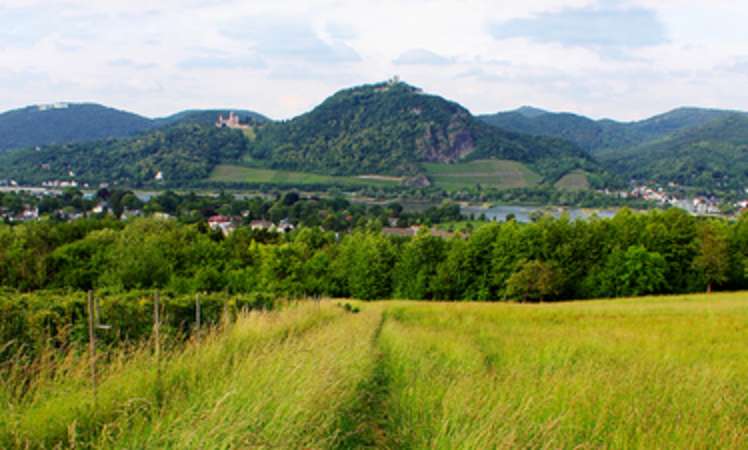 Volcanism in Germany