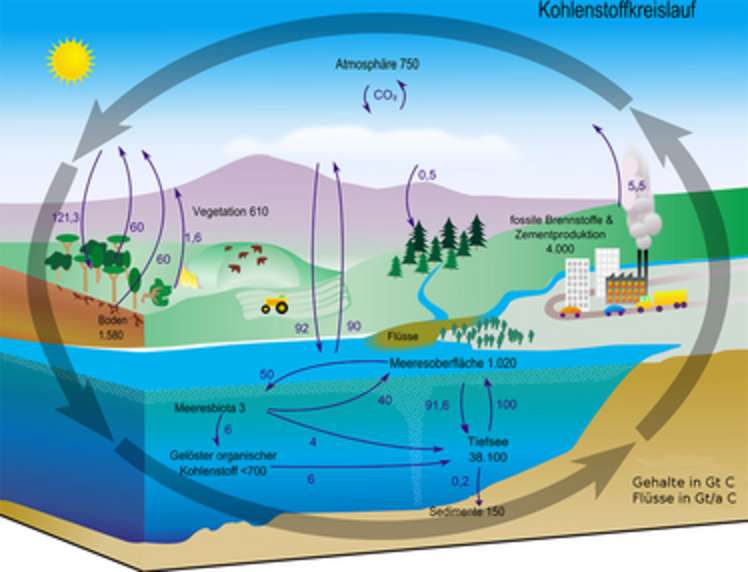 Research Topic: Carbon Dioxid