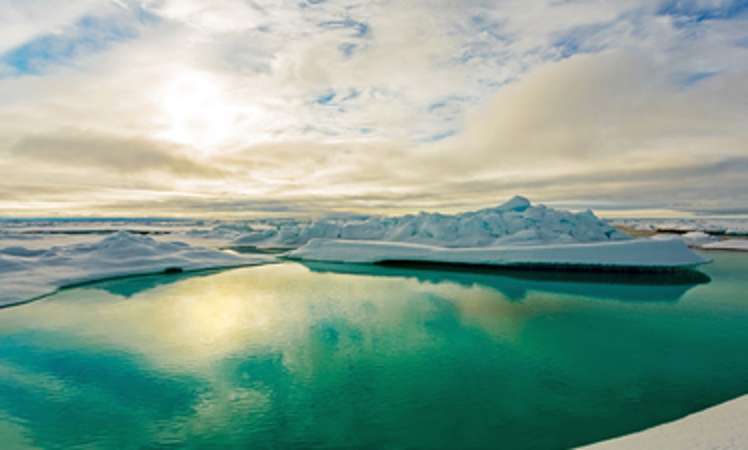 Sea ice portal: facts and background information on polar regions