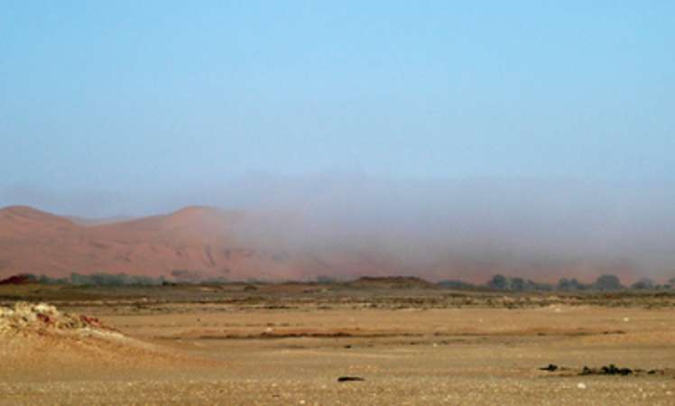Dem Nebel in der Wüste Namib auf der Spur
