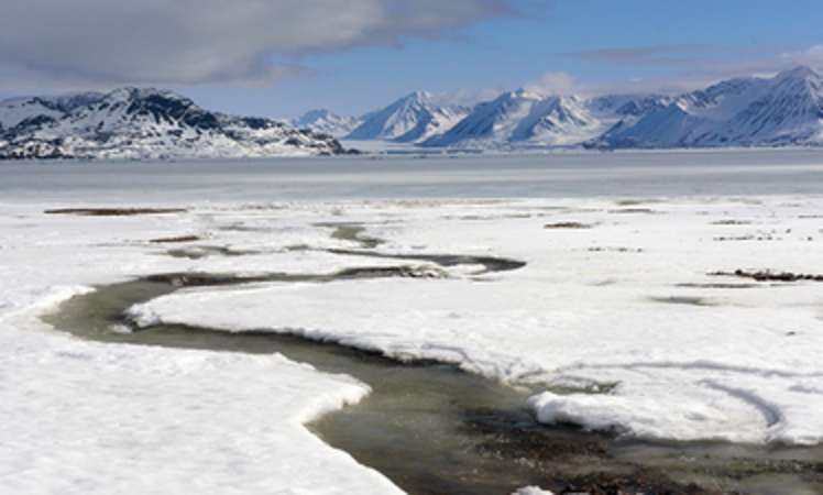 Umweltrisiken in den Polarregionen minimieren